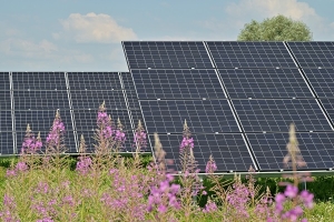 Photovoltaikanlage: Ohne Bekanntgabe an Versicherer, kein Kostenersatz bei Schäden